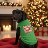 Doggie Design Santas Little Helper Dog Shirt Holiday Green Tee