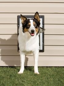 PetSafe Wall Dog Door Easy-To-Install Unique Double Flap Construction (Option: Medium)